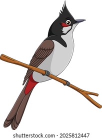 Cute Red whiskered Bulbul bird cartoon vector illustration