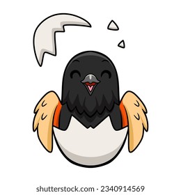 Cute red winged black bird cartoon inside from egg