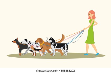 Cute red-haired girl walking many dogs of different breeds. Vector illustration of dog walker.