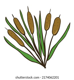 Cute reeds.. Vector illustration with doodles in the theme of cozy autumn.A cute element for greeting cards, posters, stickers and seasonal design. Isolated on a white background