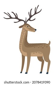 cute reindeer animal nature icon