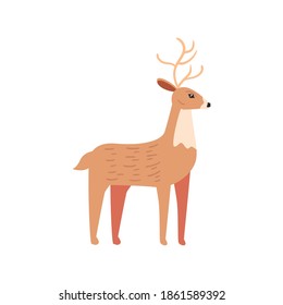 cute reindeer animal on white background vector illustration design