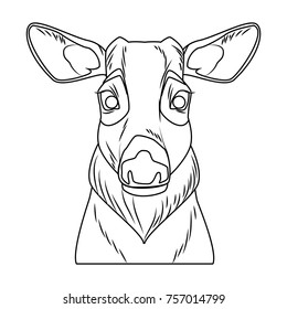Cute reindeer cartoon