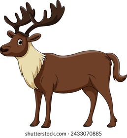 Cute reindeer cartoon on white background