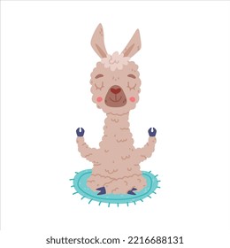 Llama relajada suave en pose de meditación. Caricatura animal domesticada de carácter alpaca ilustración vectorial