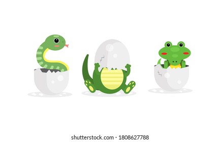 Cute Reptile Hatching from Cracked Egg Vector Set