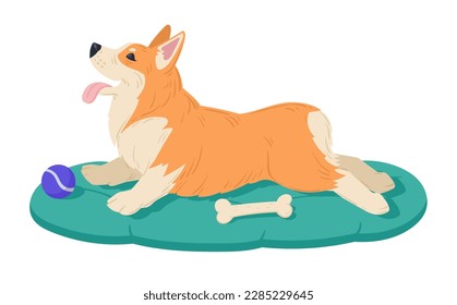 Cute resting corgi. Cartoon cute corgi dog, happy domestic pedigree puppy flat vector illustration on white background