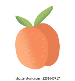 Cute retro-style peach fruit with grunge and a misprint effect. Textured vintage-style fruit vector isolated illustration.