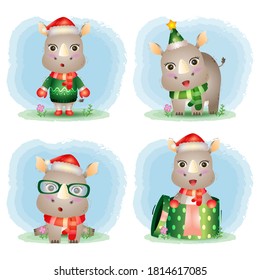 cute rhino christmas characters collection with a hat, jacket, scarf and gift box