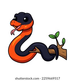 Cute ring necked snake cartoon on tree branch