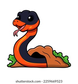 Cute ring necked snake cartoon out from hole