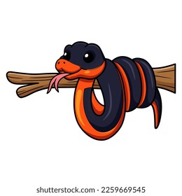 Cute ring necked snake cartoon on tree branch