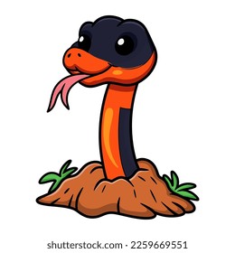 Cute ring necked snake cartoon out from hole