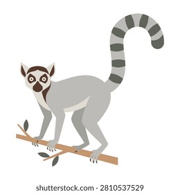 A cute ring tailed lemur perched on a wooden branch, looking directly at the camera. This simple animal design is perfect for educational materials and nature decor.