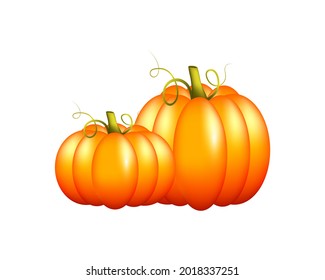 Cute ripe orange pumpkins on a white background. Large and small pumpkin. Autumn harvest of vegetables. Vector illustration.