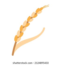 Cute ripe wheat germ isolated on a white background. Cartoon vector illustration. Golden wheat