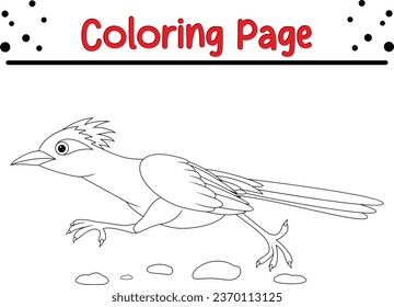 Cute roadrunner bird running road cartoon coloring page illustration vector. Bird coloring book for kids.