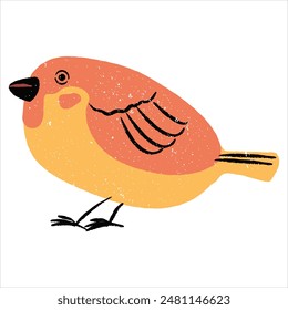 Cute Robin Bird illustration vector art design