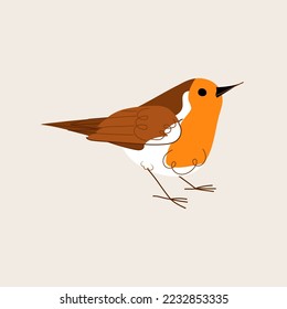 Cute robin bird isolated beige background. Winter animal character Vector flat illustration