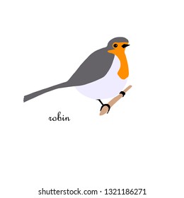 Cute robin bird vector color characters set. Sketch robin in pastel grey, orange colour. Forest animal doodle drawing, isolated scandinavian cartoon kids book, textile, sticker, for web