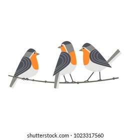 Cute Robin birds icon. Cartoon comic style. Winter birds of city garden, backyard. Stylized funny animal isolated. Element for banner background. Vector design of wildlife, nature park advertisement
