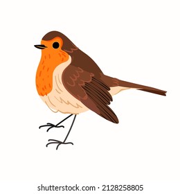 Cute robin redbreast bird isolated on white background. Vector flat illustration