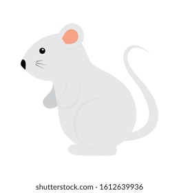 cute rodent rat isolated icon vector illustration design