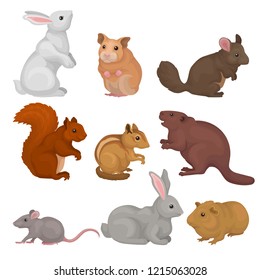 Cute Rodents Set, Small Wild And Domestic Animals Vector Illustration On A White Background