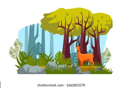 Cute roe deer wild animal character with antlers standing in tropical forest. Meadow with tree, green grass, exotic plant leaf, bush and stone. Hunting season. Wildlife and nature. Vector illustration