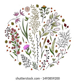 Cute romantic colorful set of twigs and flowers. nature theme. vector illustration. 