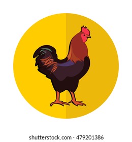 Cute rooster icon isolated on bright yellow background. Modern flat design farm animal in stylish colors. Web site page and mobile app design element. Vector illustration