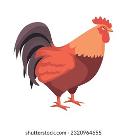 Cute rooster standing on grass, crowing loudly icon isolated