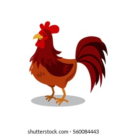 cute rooster vector illustration