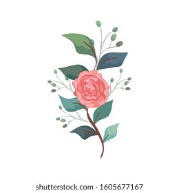 cute rose with branch and leafs isolated icon vector illustration design
