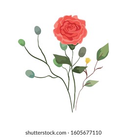 cute rose with branches and leafs isolated icon vector illustration design