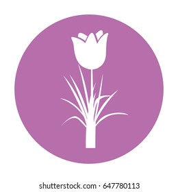 cute rose isolated icon