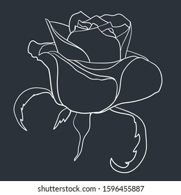Cute rose isolated on dark background. Hand drawn outline of rose. Vector illustration for decor your cards, embroideries, banners, labels, prints ets.