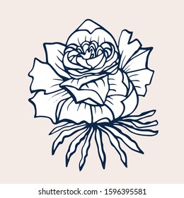 Cute Rose isolated on light background. Hand drawn flower of Rose. Vector illustration isolated on white background for decor your cards, embroideries, banners, labels, prints ets.