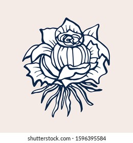 Cute Rose isolated on light background. Hand drawn flower of Rose. Vector illustration isolated on white background for decor your cards, embroideries, banners, labels, prints ets.
