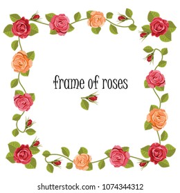 Cute rose wreath isolated on white. Corners of flowers. Set of bouquet roses different color for design greeting and wedding cards. Beautiful roses frame. Roses vector frame