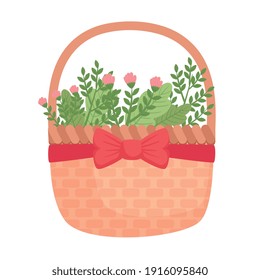 cute roses pink flowers spring in basket vector illustration design
