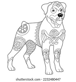 Cute rottweiler dog. Adult coloring book page in mandala style