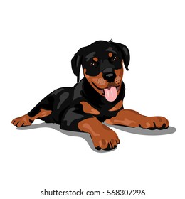 1,675 Cartoon rottweiler Images, Stock Photos & Vectors | Shutterstock