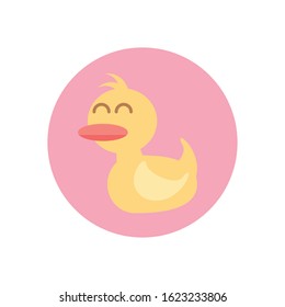 cute rubber duck, baby shower vector illustration design