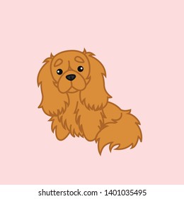 Cute Ruby Cavalier King Charles Spaniel Sitting Dog Cartoon Vector Illustration for Print, Greeting Card or Kids Shirt Design