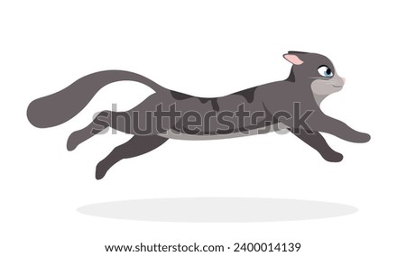 Cute running cat. Side view of small kitten jumping. Adorable fluffy pet walking or moving forward quickly. Design element for sticker. Cartoon flat vector illustration isolated on white background