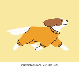 Cachorro de corrida bonito em macacão laranja. Estilo de desenho animado moderno. Ilustração de vetor desenhada à mão para uma loja de animais de estimação. Encantador Cavalier Rei Charles Spaniel.