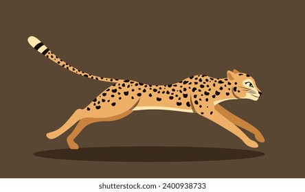 Cute running leopard. Side view of fast spotted cheetah hunting for prey. Colorful poster with wild cat inhabitant of savannah or jungle. Cartoon flat vector illustration isolated on brown background
