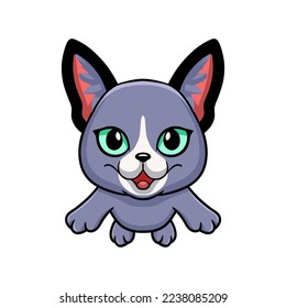 Cute russian blue cat cartoon flying