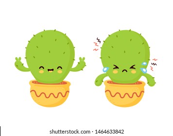 Cute sad cry dried and happy cactus. Vector flat cartoon illustration icon design. Isolated on white background. Cactus in pot concept